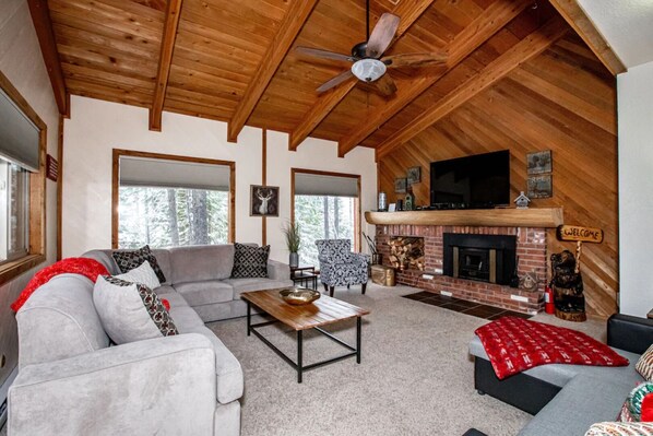 Smart TV, fireplace, DVD player, books