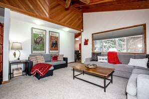 Smart TV, fireplace, DVD player, books