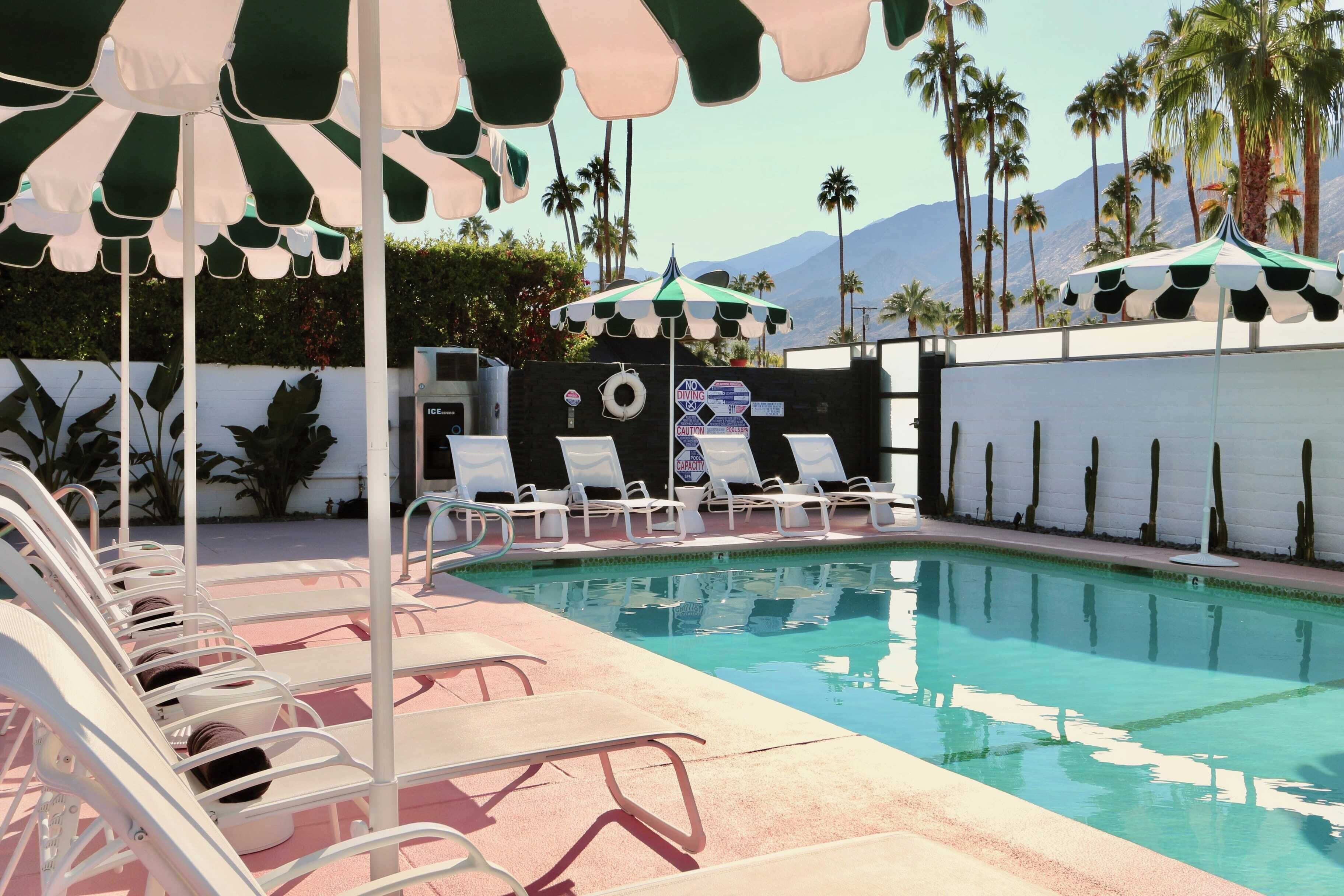 A pool area with lounge chairs and umbrellas, surrounded by palm trees and a mountain in the background.
