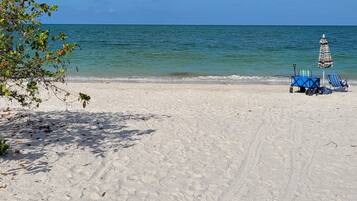 Plage, chaises longues, serviettes de plage