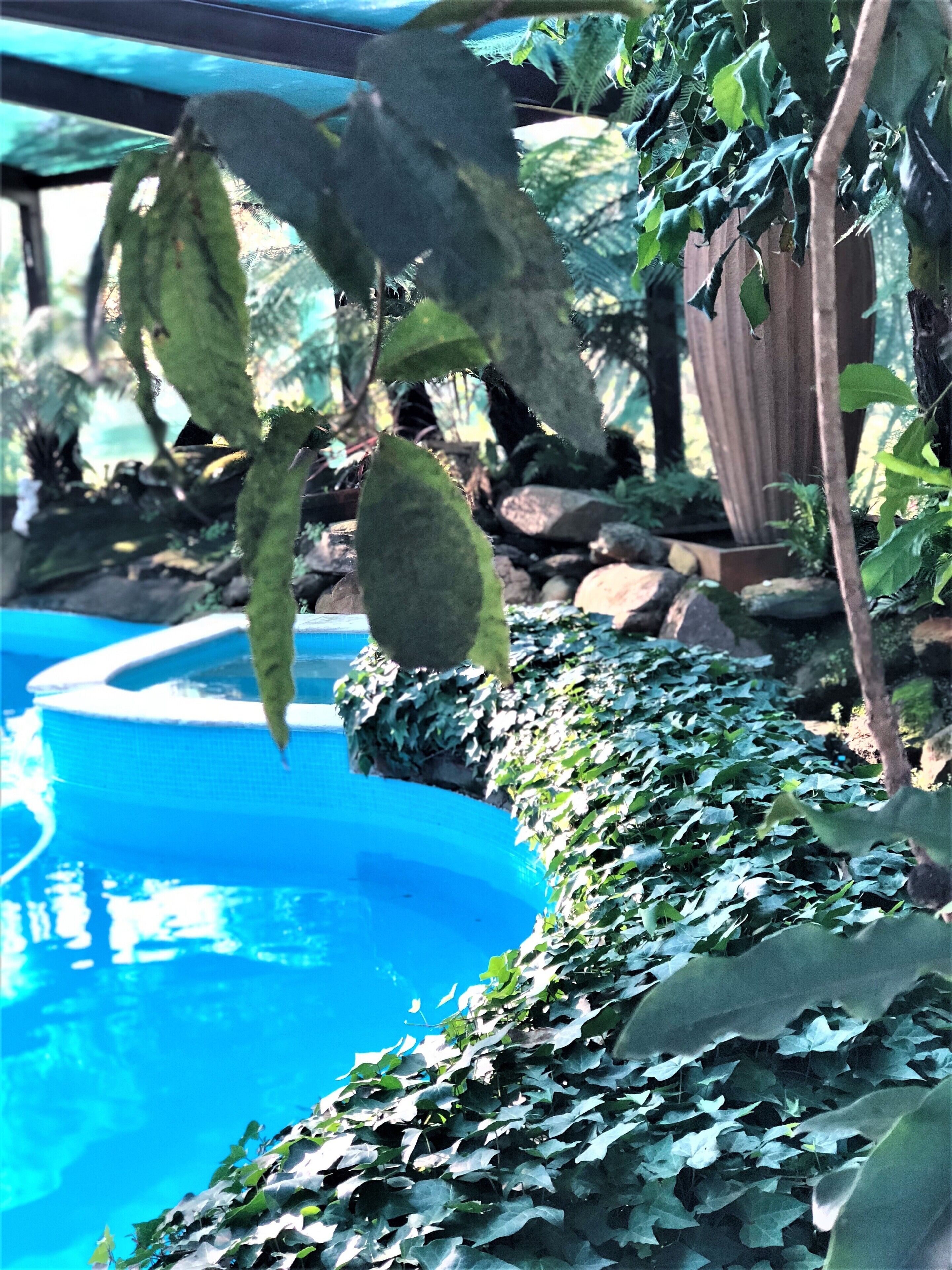 Private Suite in Resort Estate: pool\/spa\/tennis\/billiards\/fireplace\/sauna\/cellar