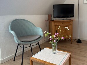 Fernseher, Stereoanlage