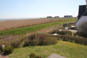 Et kystlandskab med en græsmark, en strand og huse i baggrunden.