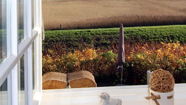 Vista desde una ventana sobre un campo, con una figurita de pato blanco y una cesta de fideos en el alféizar.
