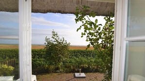 A patio with a view of a field, a hedge, and a white chair.