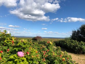 Unclassified image, 3 of 18, button