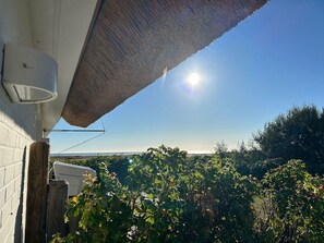 Unclassified image, 2 of 18, button