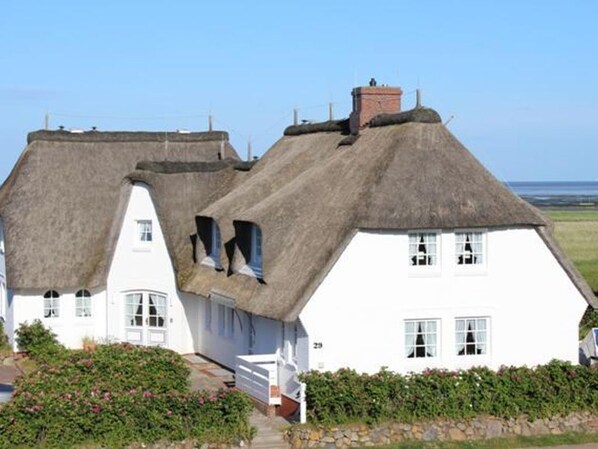 Eksteriør