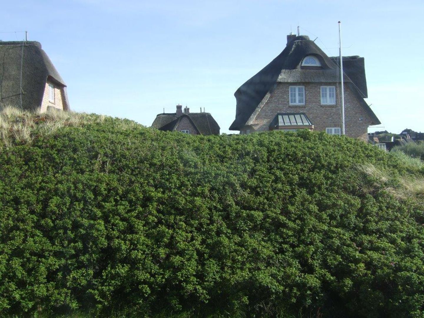 Ulkopuoli