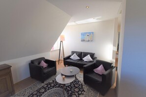 电视、DVD 播放器