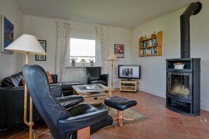 电视、DVD 播放器、立体声音响