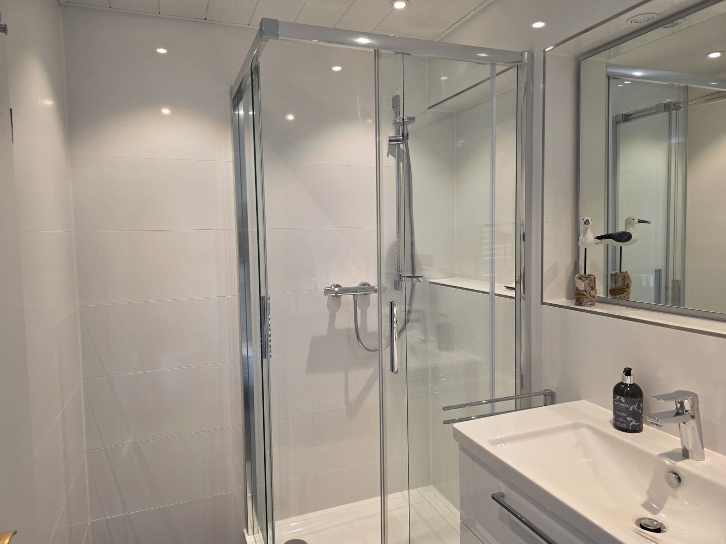 Shower, hair dryer