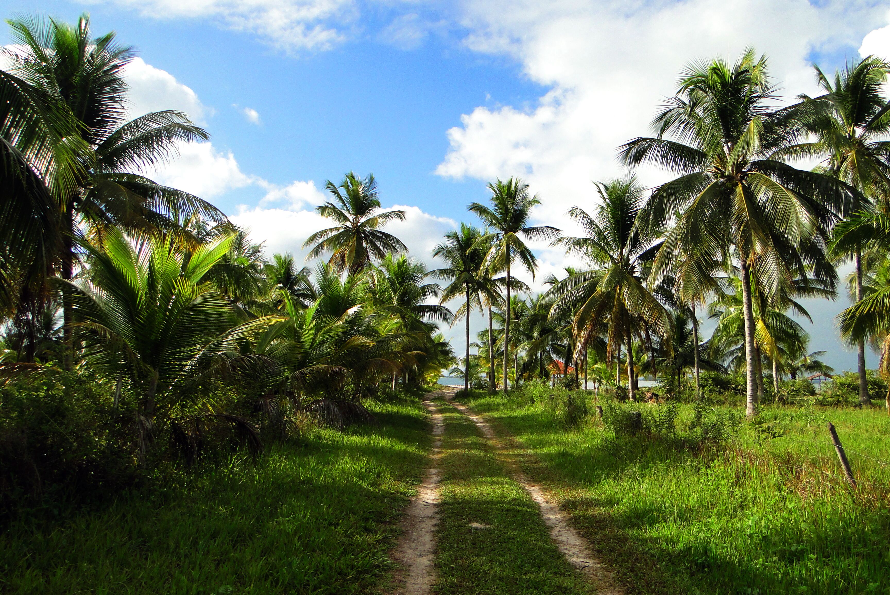 Área da propriedade