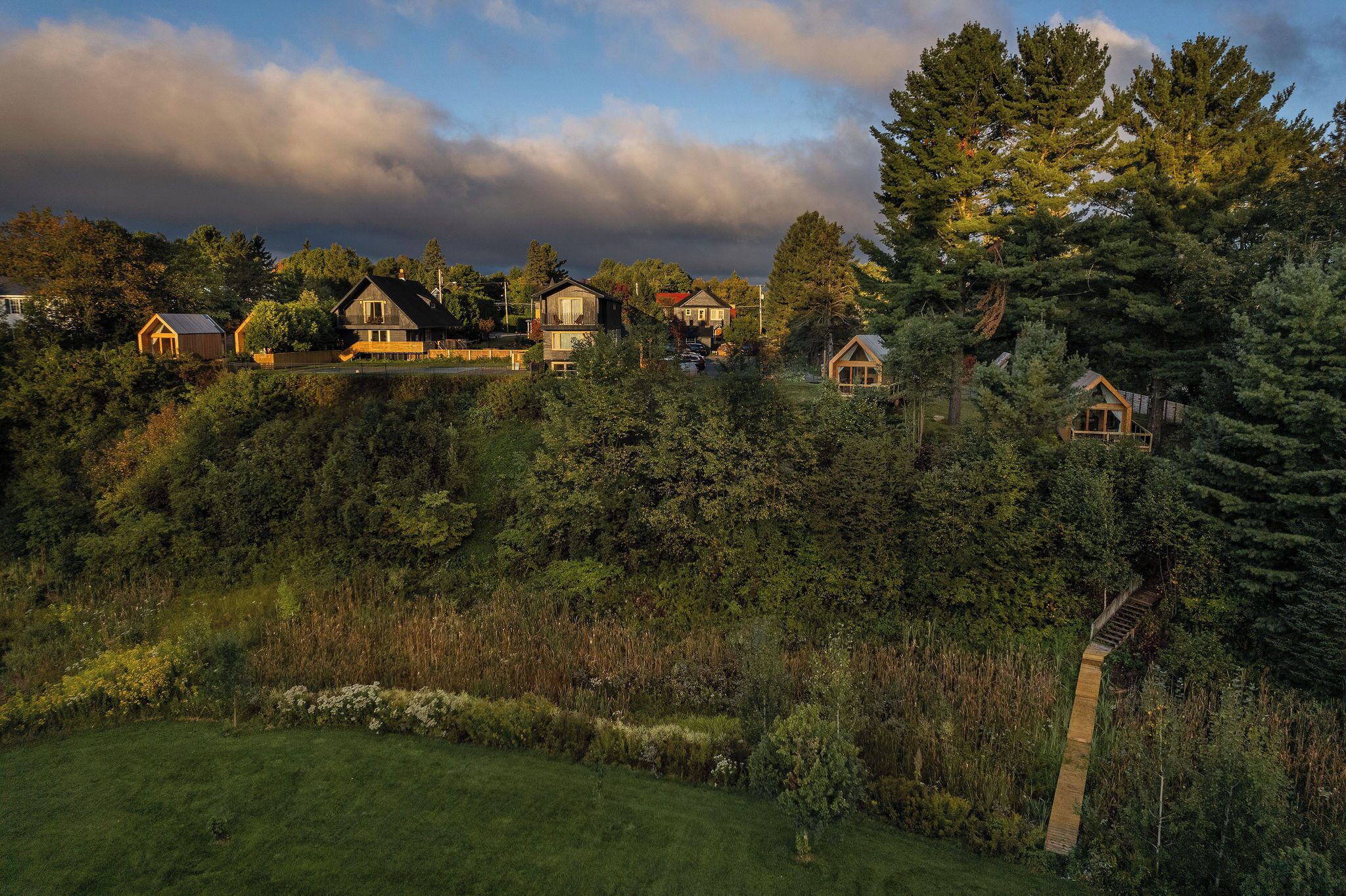 Un quartier résidentiel composé de plusieurs maisons, entouré d’une forêt dense.