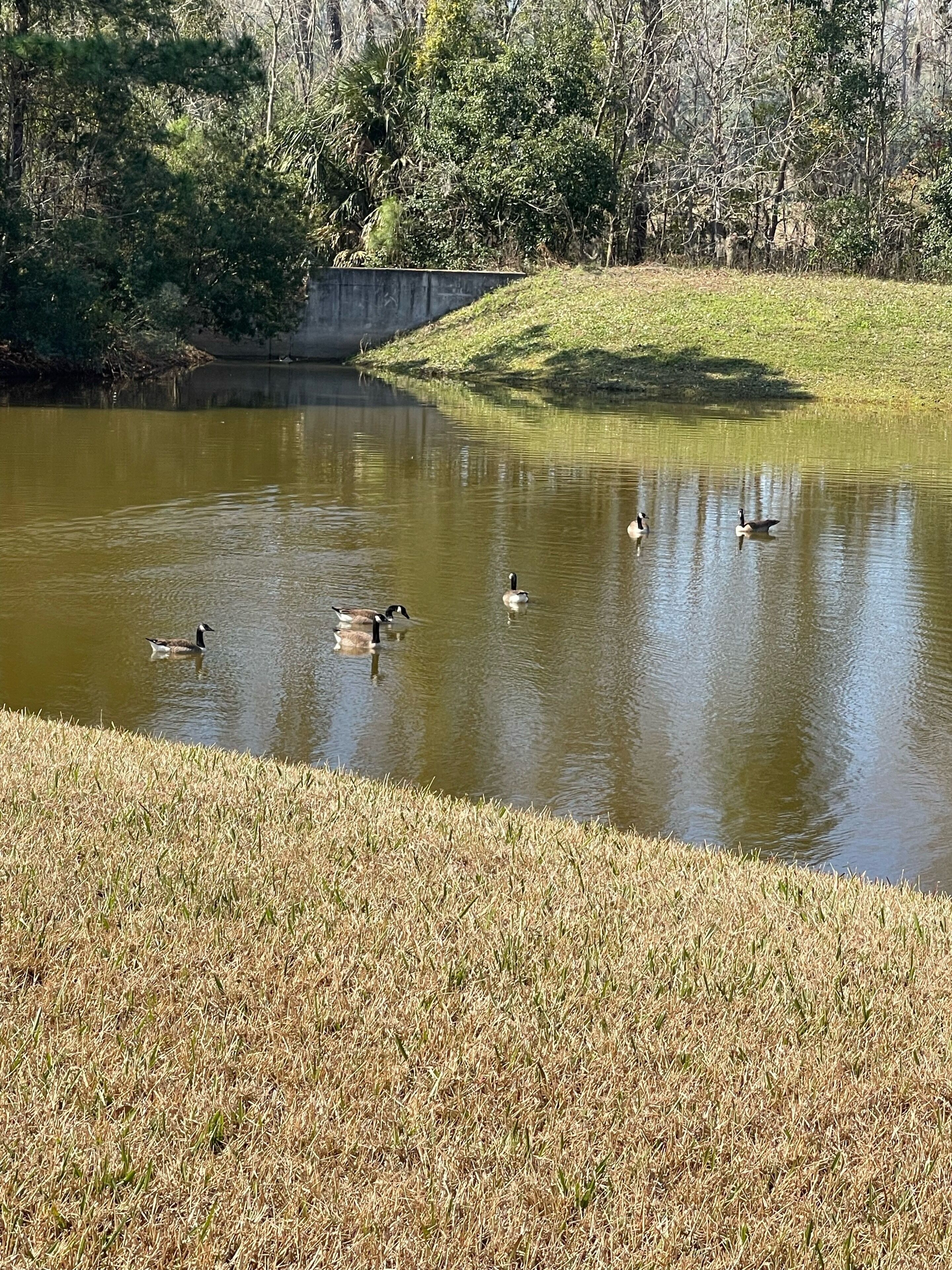 Place of Peace with lake views! Sleeps 5