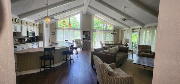 Smart TV, fireplace, DVD player, video library