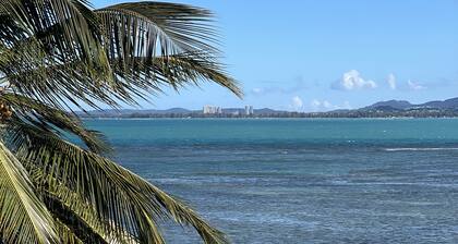 W Panoramic Ocean front with access/Infinity Pool