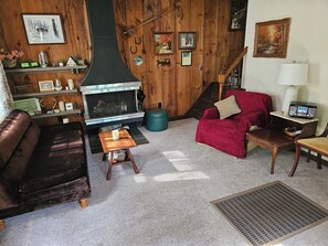 Books, music library, video library, stereo