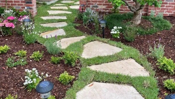 A garden pathway with stepping stones, brick walls, and various plants. - Martha's ......... Your hideaway in the highlands. (Burradoo)