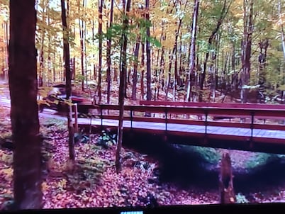 !! Located in Cranberry lake, Harrison Mich. Beautiful Cabin getaway,! 🏚