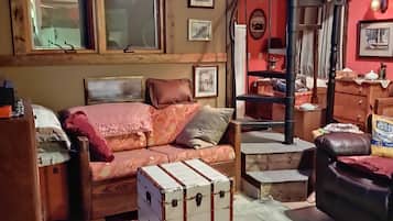 Smart TV, fireplace, DVD player, books