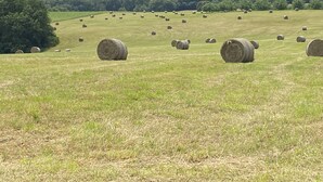 A field with numerous hay bales. - Vacations in Pomié (Baladou)