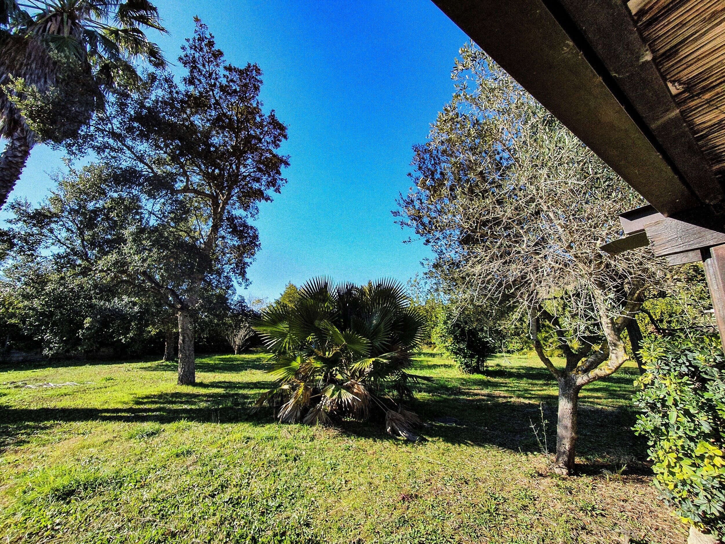 Área da propriedade