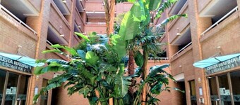 ACV - Costa Marina I-1ª linea planta 2 sur