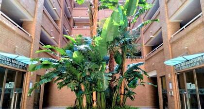 ACV - Costa Marina I-1ª linea planta 2 sur