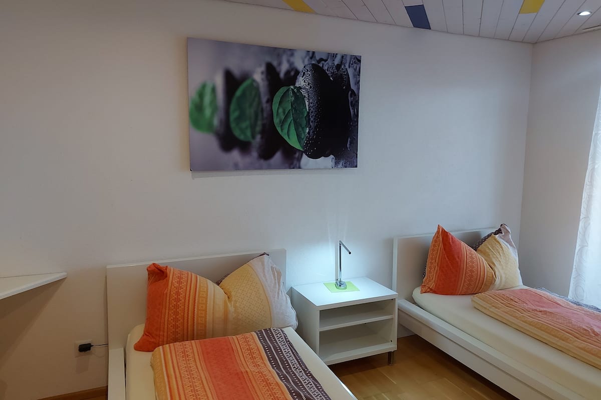 Basic Twin Room, Non Smoking | Desk, free WiFi