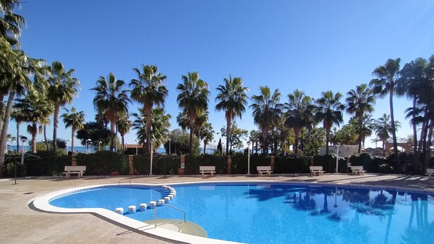 A swimming pool with a curved edge, surrounded by palm trees and benches. - ACV - Acapulco I - 1ª linea planta 5 sur (Oropesa del Mar)