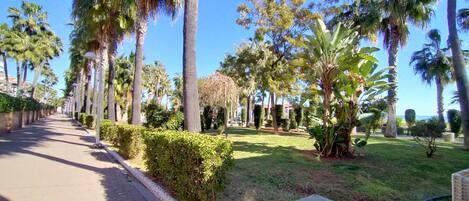 Jardines del alojamiento