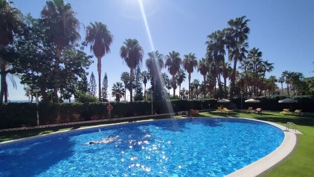 A swimming pool with a person swimming, surrounded by palm trees and sun umbrellas. - ACV - Acapulco II-1ª linea planta 5 norte (OROPESA DEL MAR)