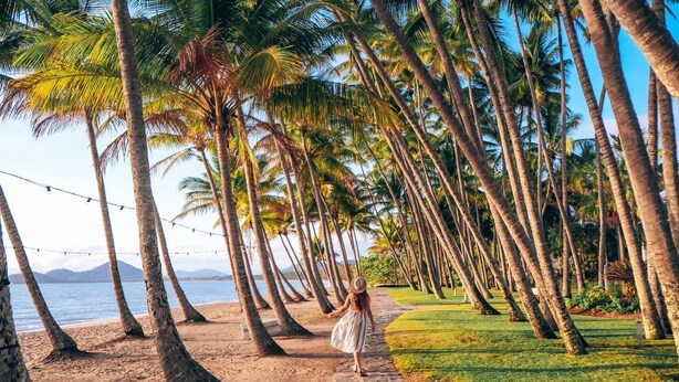 Una playa con palmeras y una vista despejada del océano.