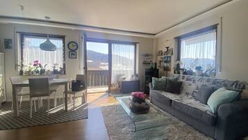 Smart TV, lareira, livros