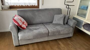 Smart TV, lareira, livros