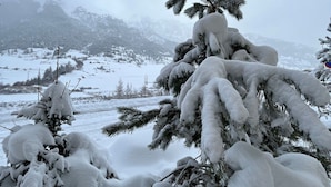 Een besneeerd landschap met sneeuwbedekte bomen en bergen op de achtergrond.