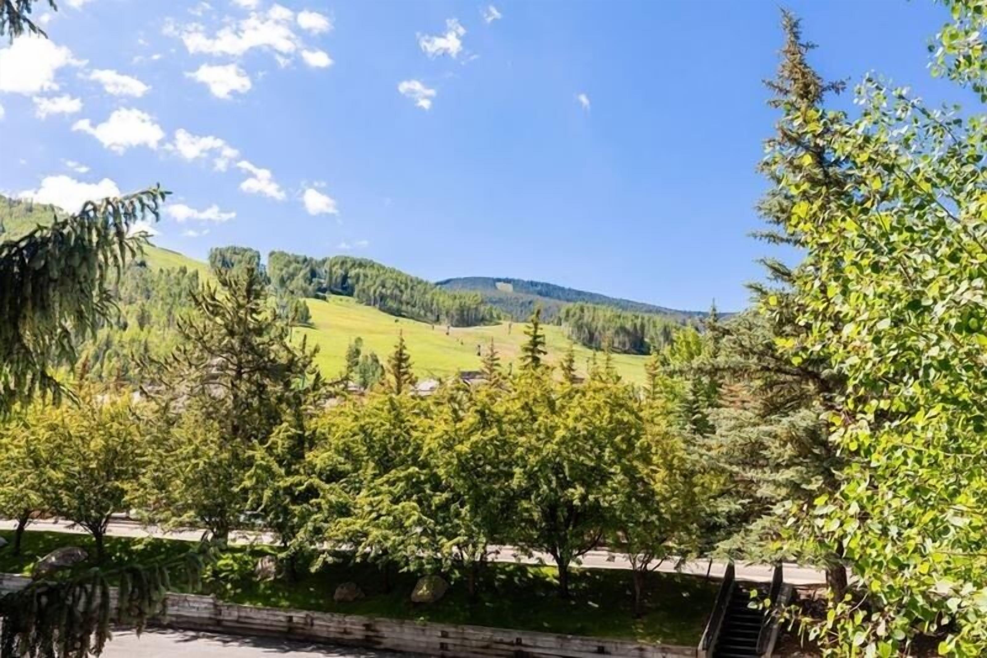 A view of a mountainous landscape with trees and a clear sky.
