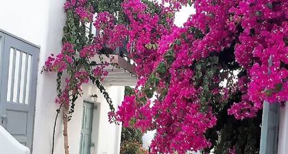 DREAM HOUSE ORNOS BEACH