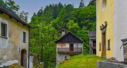 Rustic house surrounded by greenery