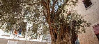 EGO' FERRARA RESIDENCE