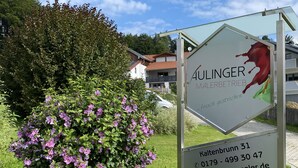 Uklassifisert bilde, 5 av 22, knapp