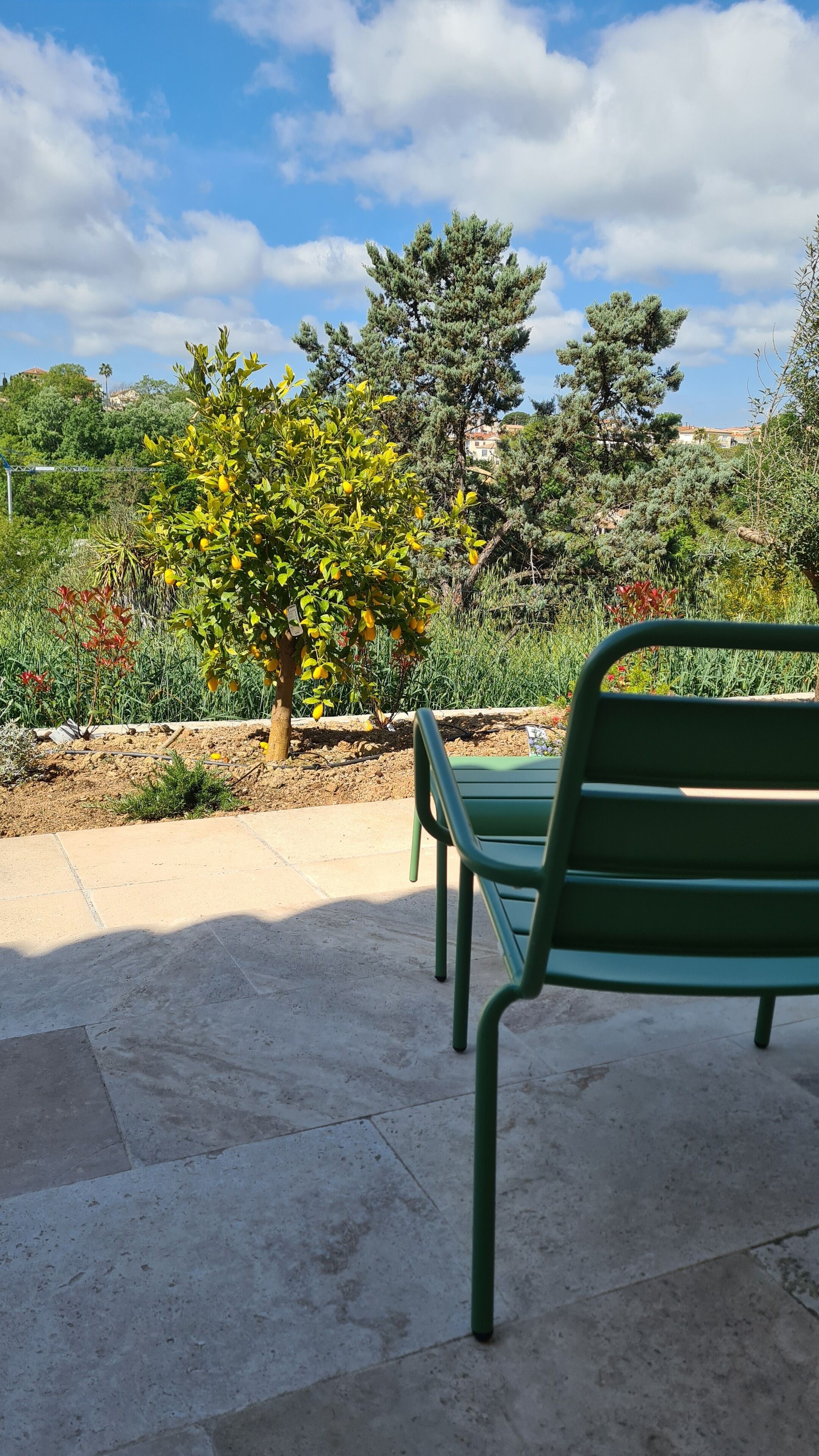 Un banc vert dans un jardin, avec des arbres et un ciel dégagé.