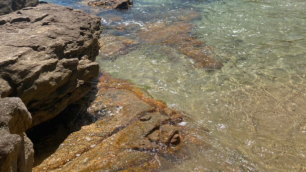 A coastal landscape with clear turquoise water, rocky shorelines, and a forested hill in the background. - Chalés Céu e Mar (Ubatuba)