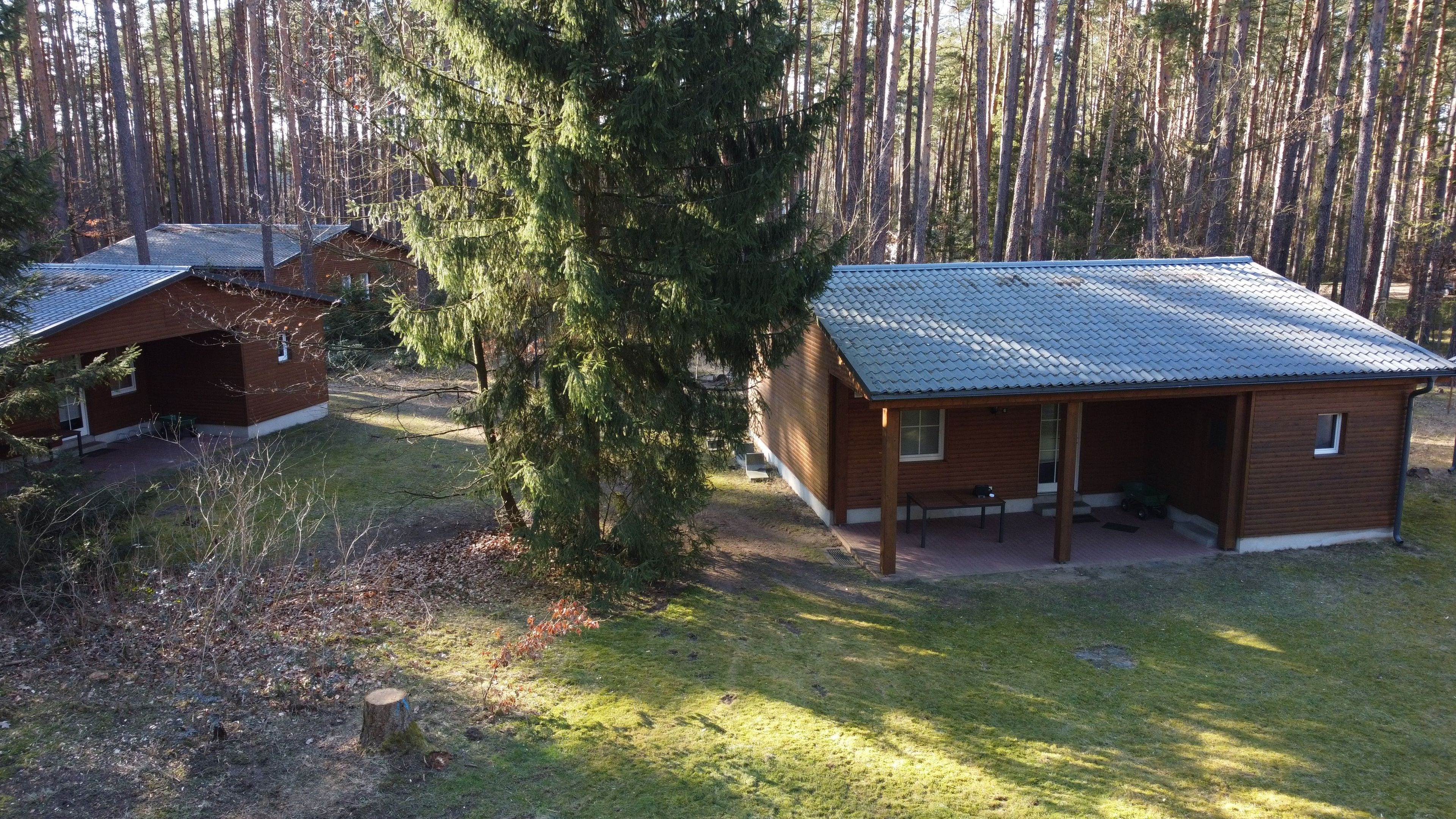 A cabin with a metal roof, surrounded by a forest.