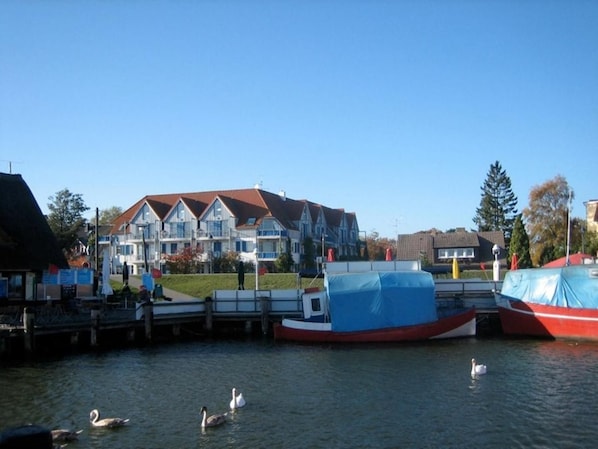 A waterfront property with a dock, boats, and swans. - Boddenblick Apartment Building - "Möwe" - Bright, High-Quality, and Modern (Zingst)