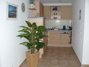 Uma cozinha com armários de madeira, uma pia, uma máquina de lavar louça e um vaso de planta.