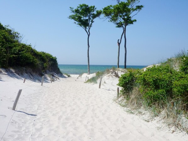 Playa