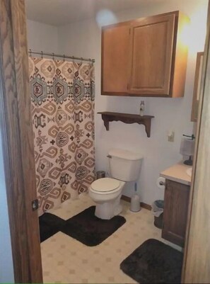 Shower, hair dryer, towels, toilet paper