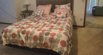 Large 1 BR Apartment in downtown Bismarck. Beautifully furnished. W/D in unit.